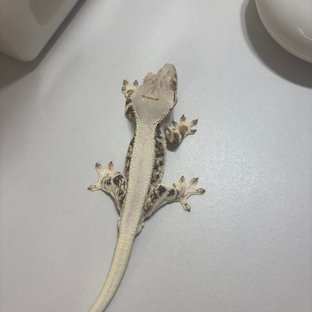 소금🧂