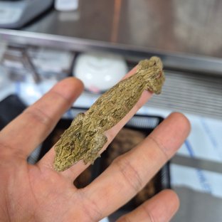 GTX 헷 멜라니스틱