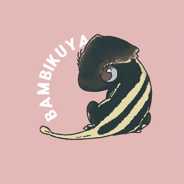 밤비꾸야