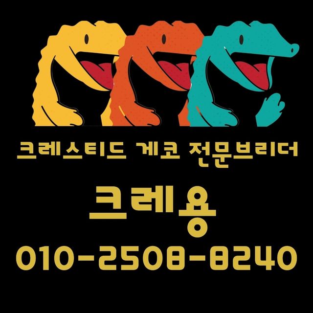 노멀