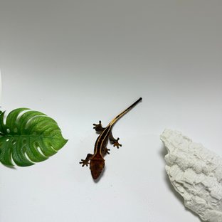 100%헷아잔틱 엠티백 슈퍼스트라이프