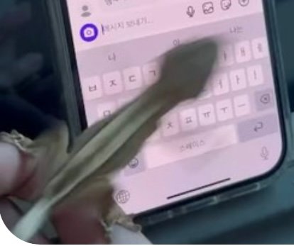 익스트림할리퀸 트라이