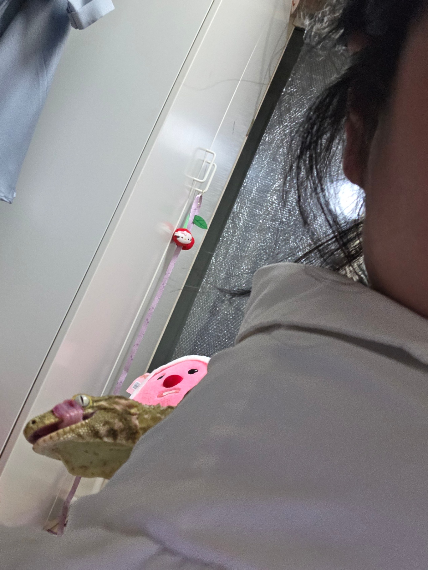 먹보