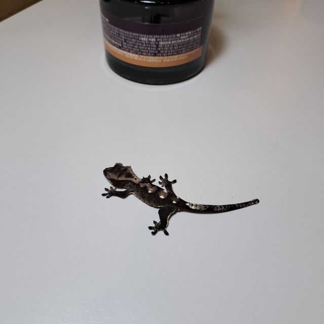 아잔틱