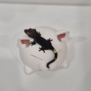 아잔틱