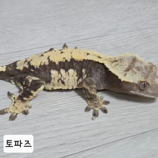 토파즈