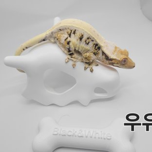 우유
