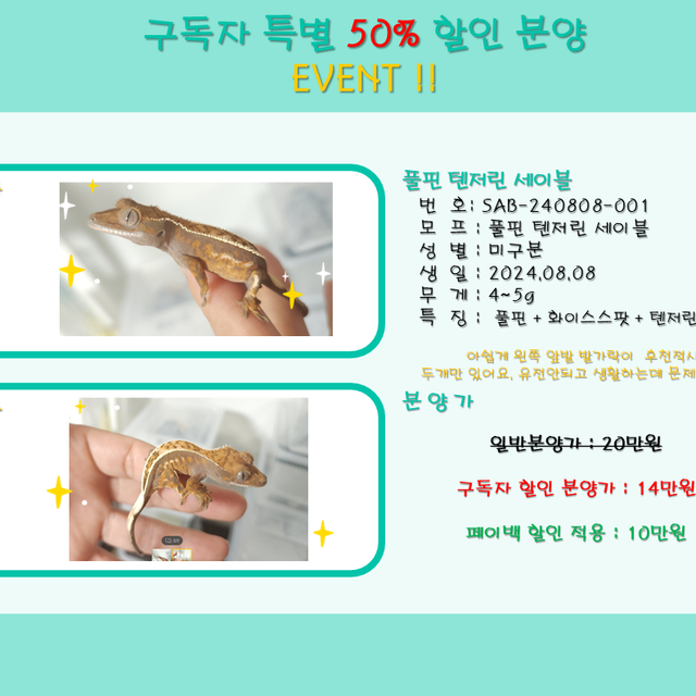 세이블 화이트스팟 풀핀