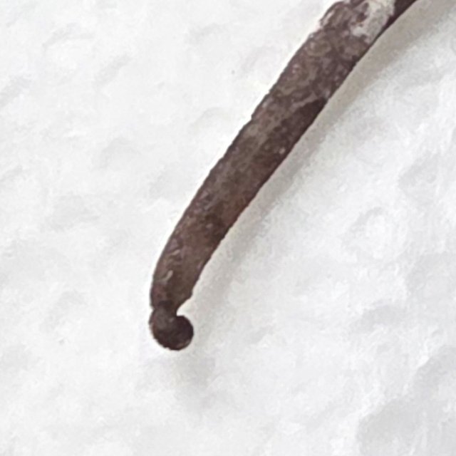 아잔틱