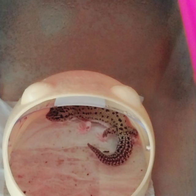 갤럭시