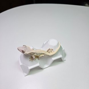 릴리 세이블