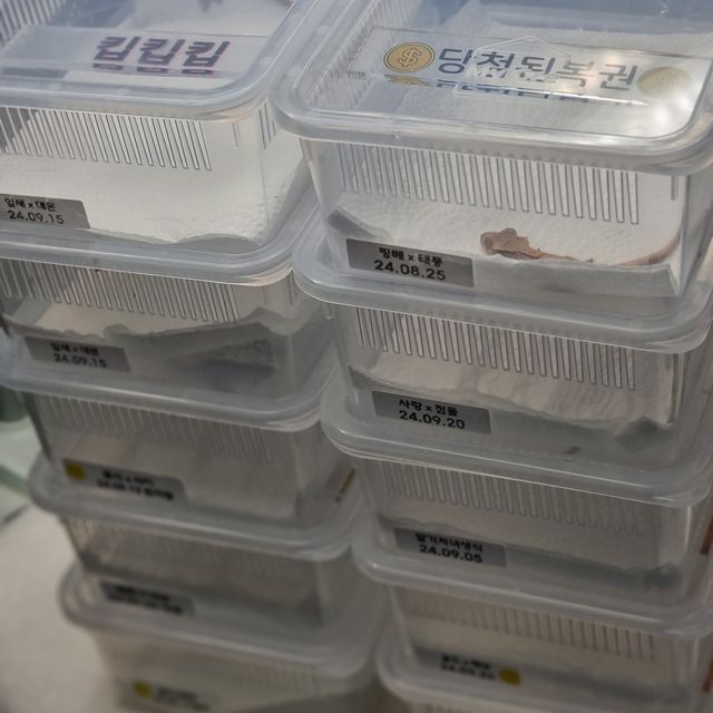 노멀