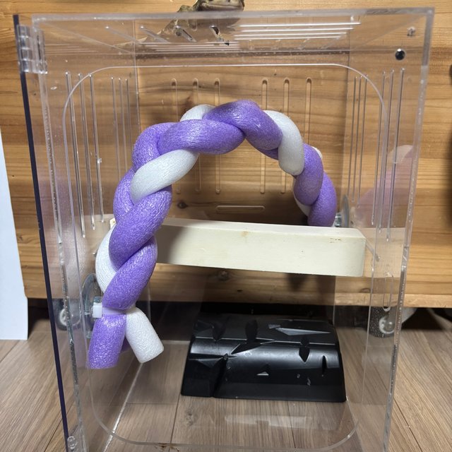 노멀 풀핀 쿼드