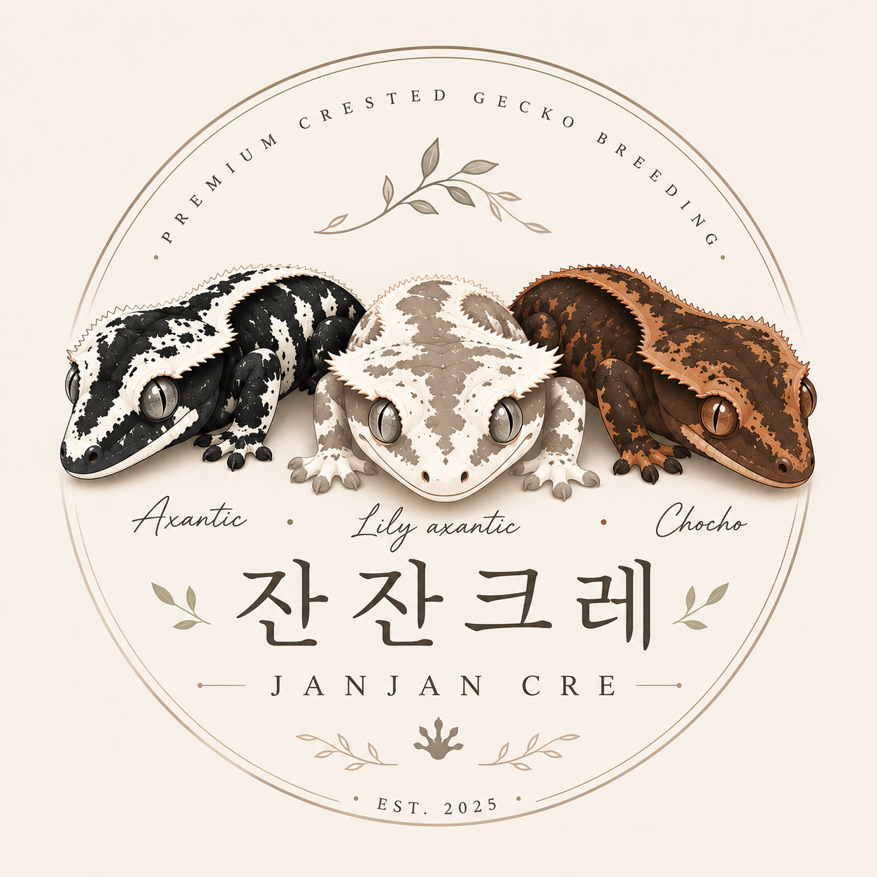 잔잔크레