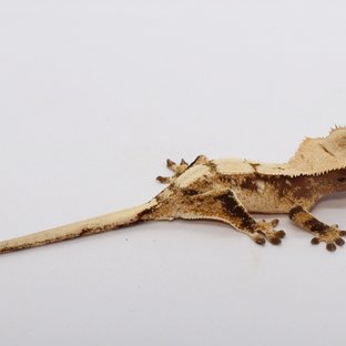 191호