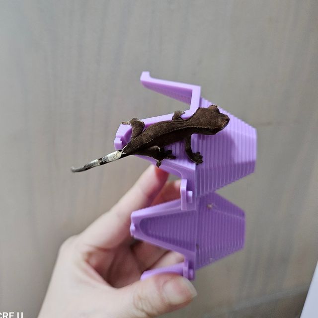 카푸치노 다크 블랙 챠콜