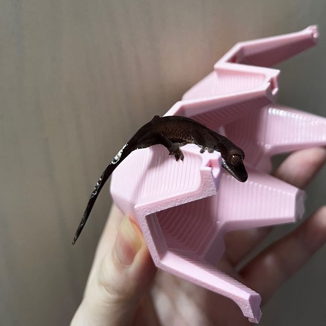 카푸치노 다크
