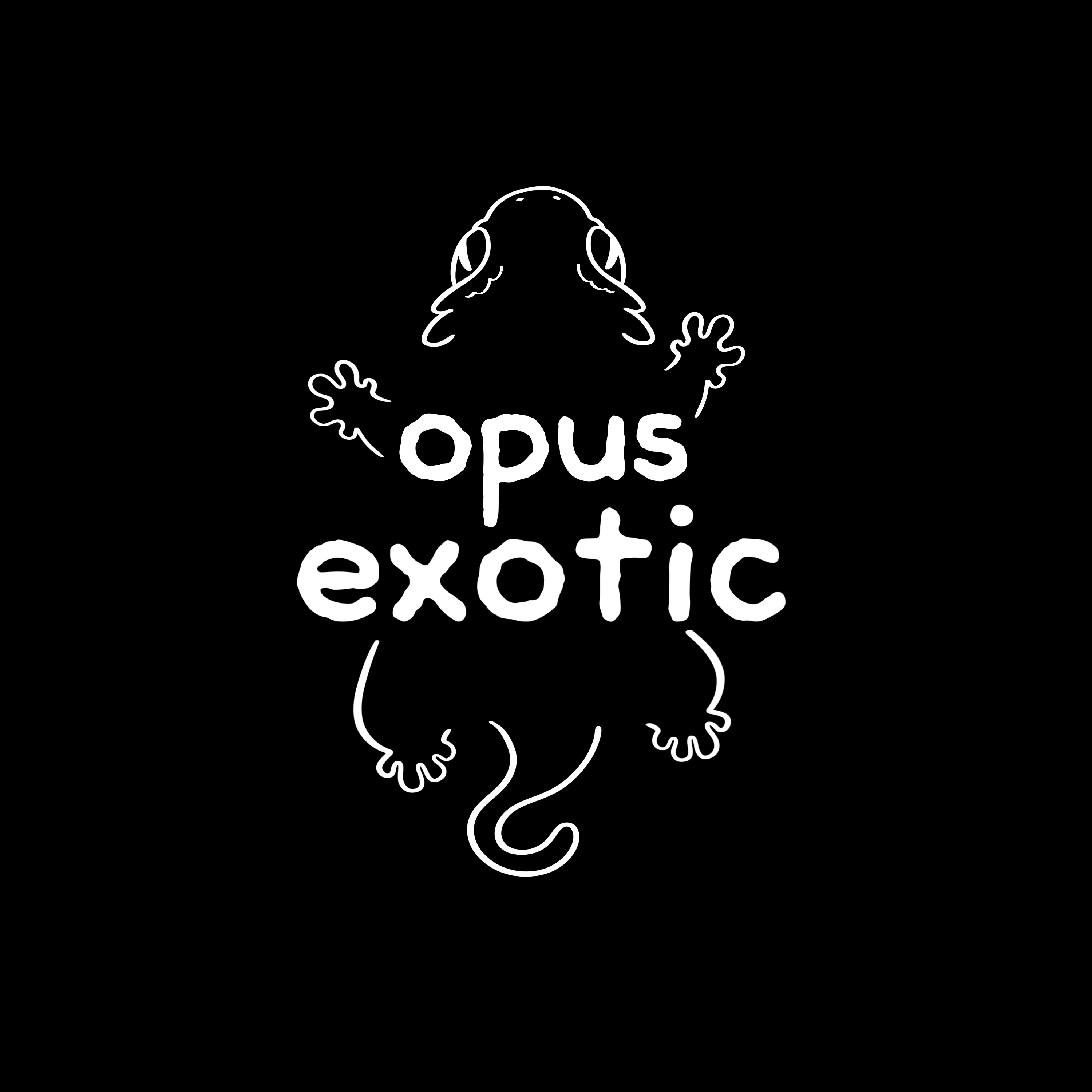 opusexotic