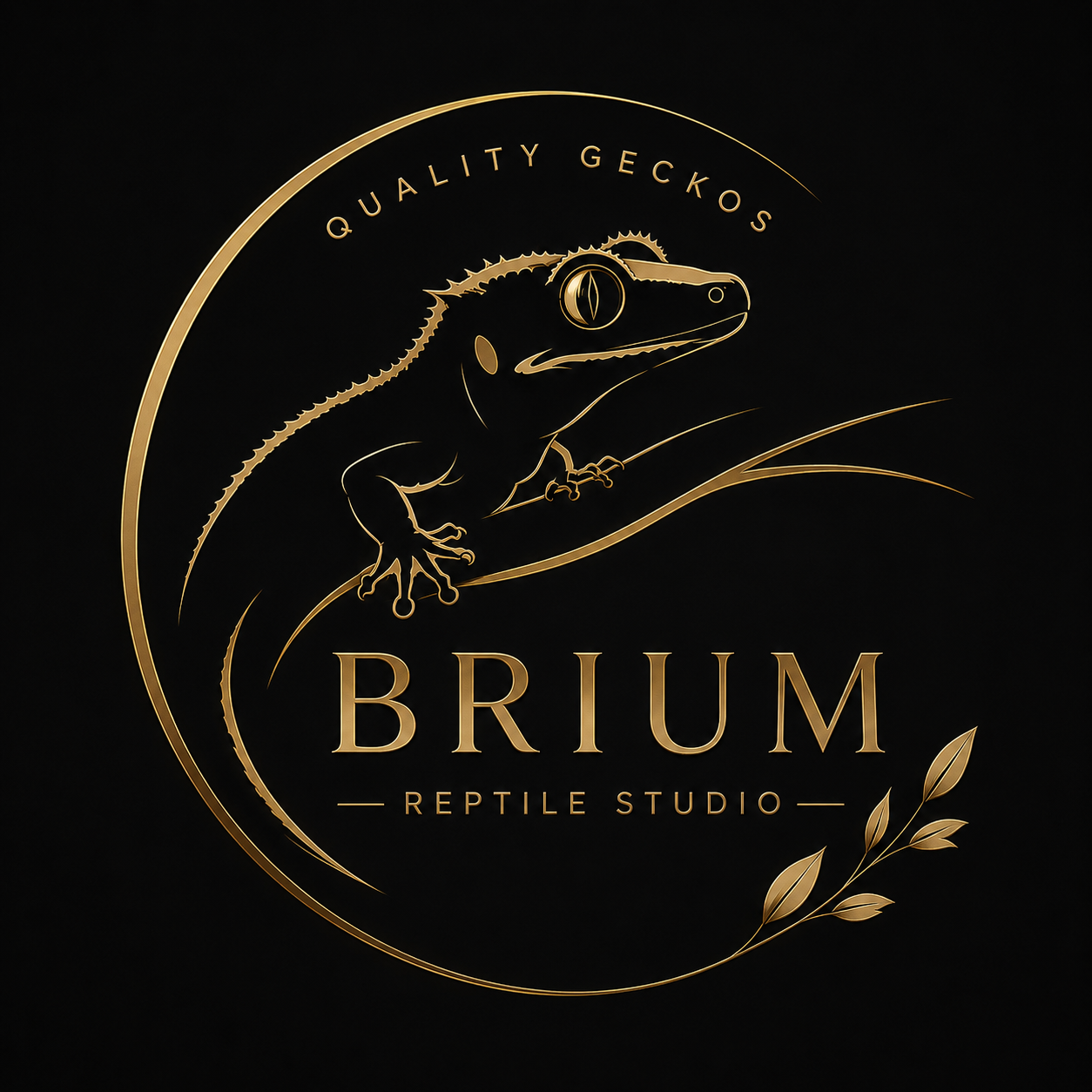 BRIUM