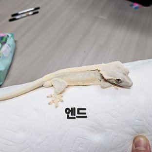 엔드