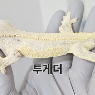 투게더