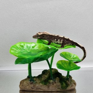 아잔틱