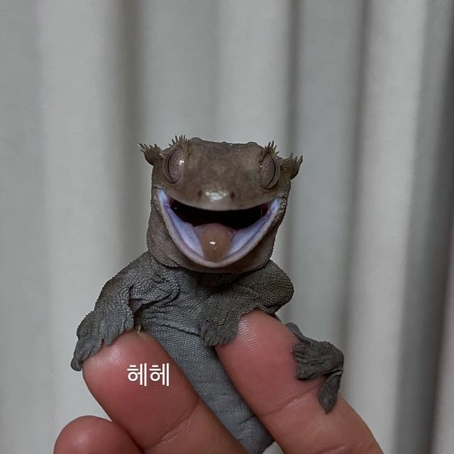 아잔틱