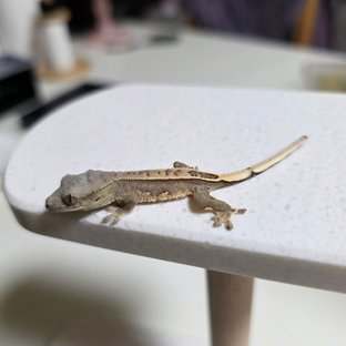 계란이x예슬이