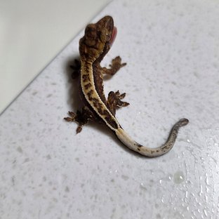 커리x메리