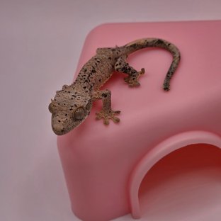 용포3