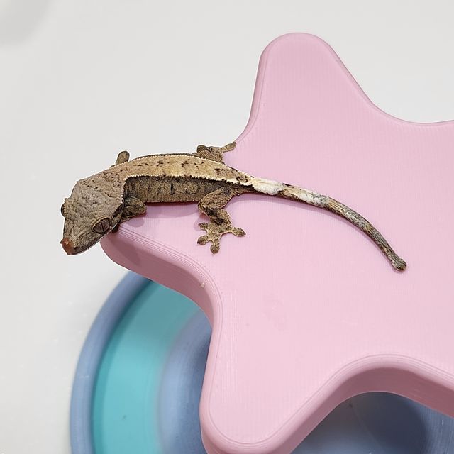 세이블