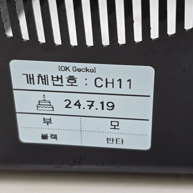 챠콜