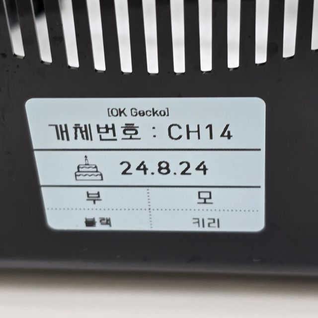팬텀 다크