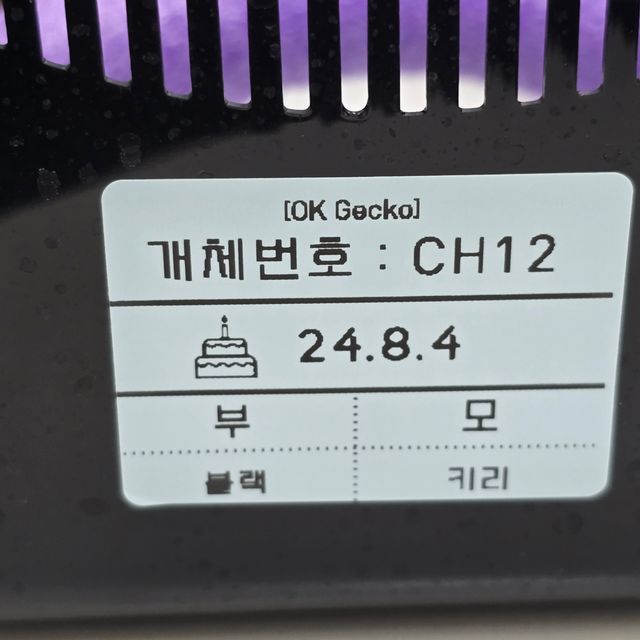 팬텀 다크