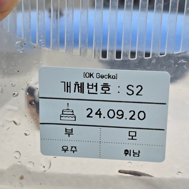 세이블