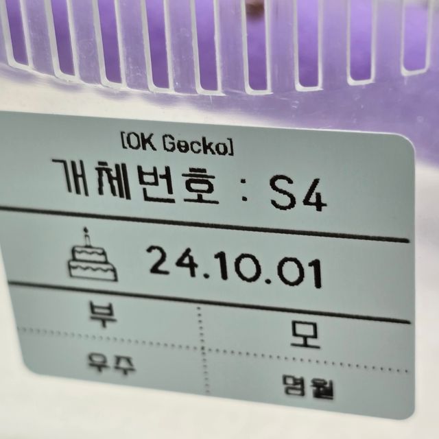 세이블