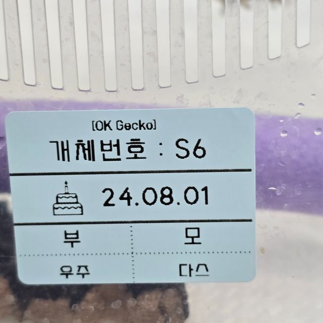 세이블