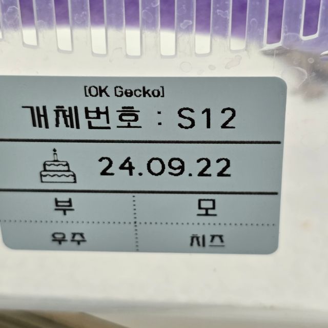 세이블
