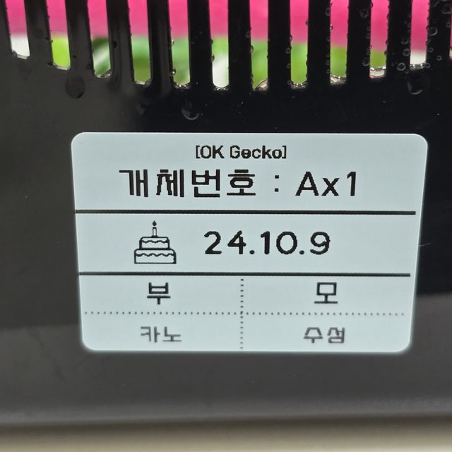 아잔틱
