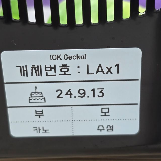 릴잔틱