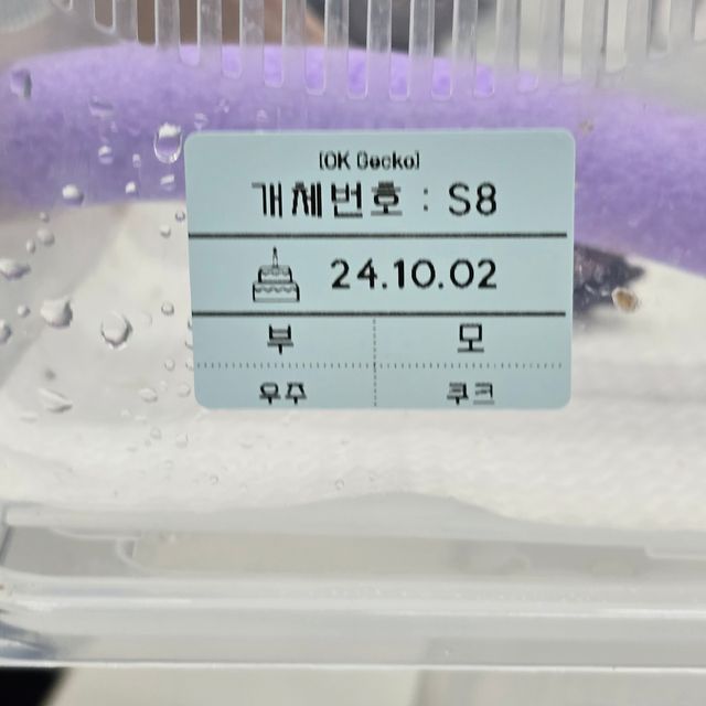 세이블