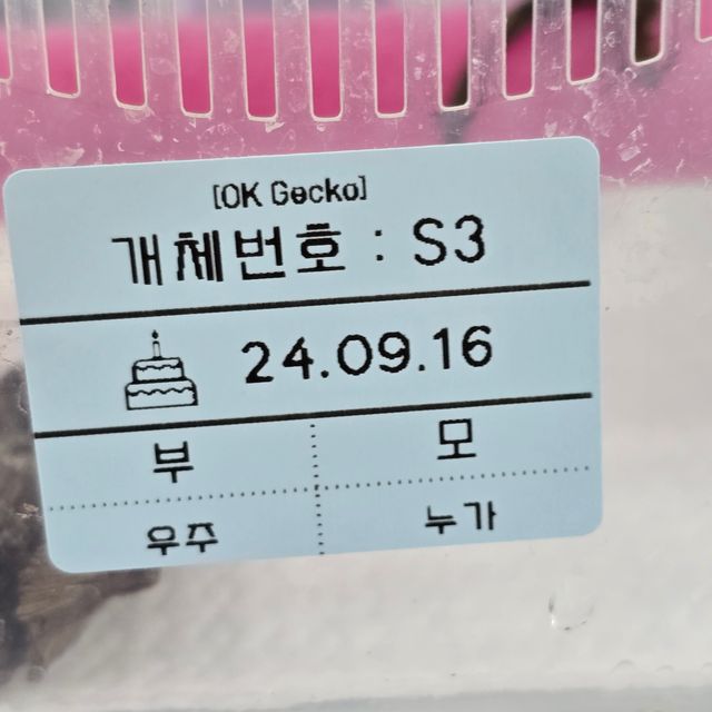 팬텀 세이블