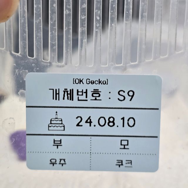 세이블
