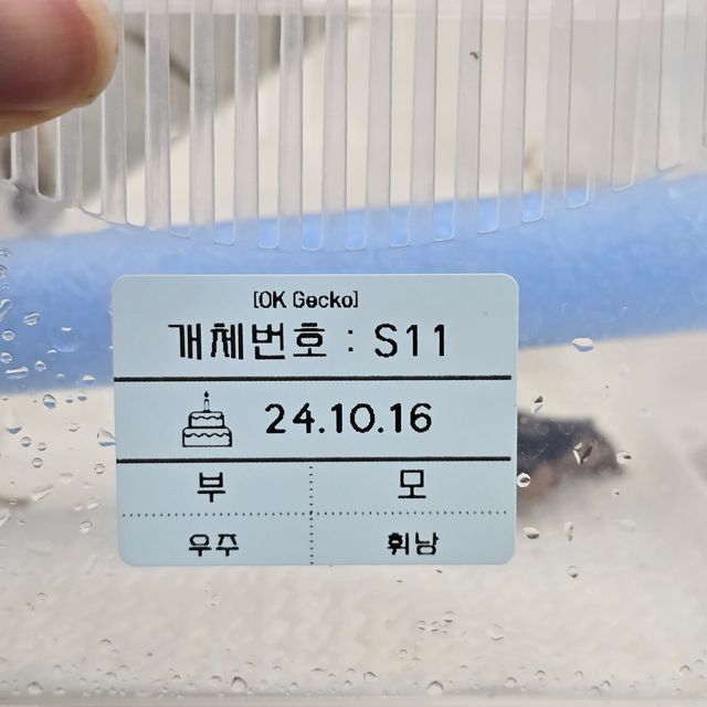 세이블