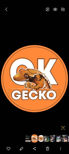 Okgecko