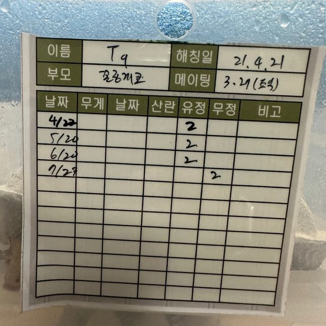 쿼드
