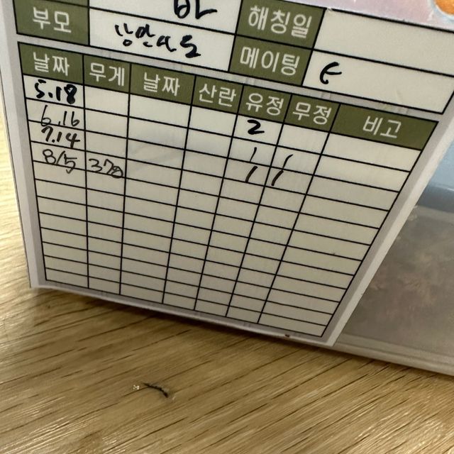 익스트림할리퀸 풀핀 다크