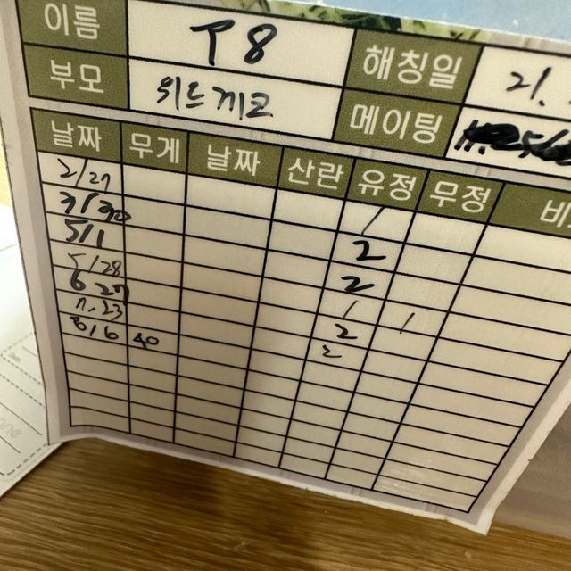 익스트림할리퀸 레드
