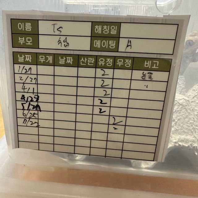 익스트림할리퀸