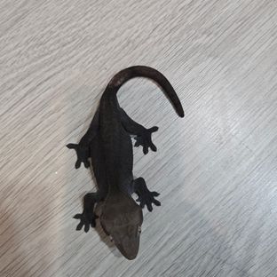 아잔틱